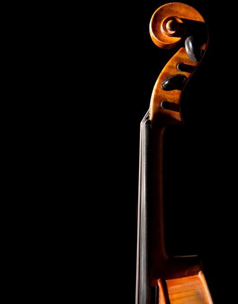 Creative photo of violin