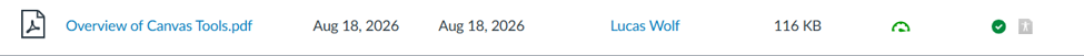 View within the New Files Page in Canvas