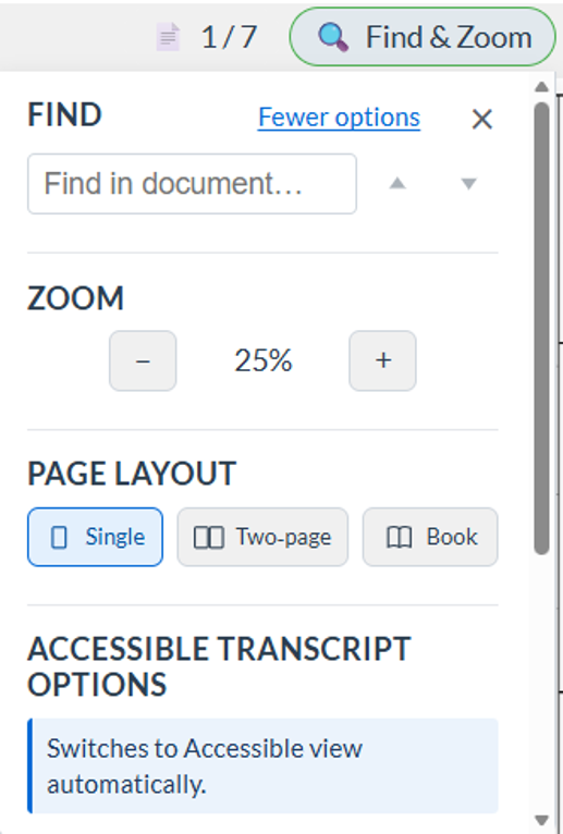 Image of accessibility options in DocAccess