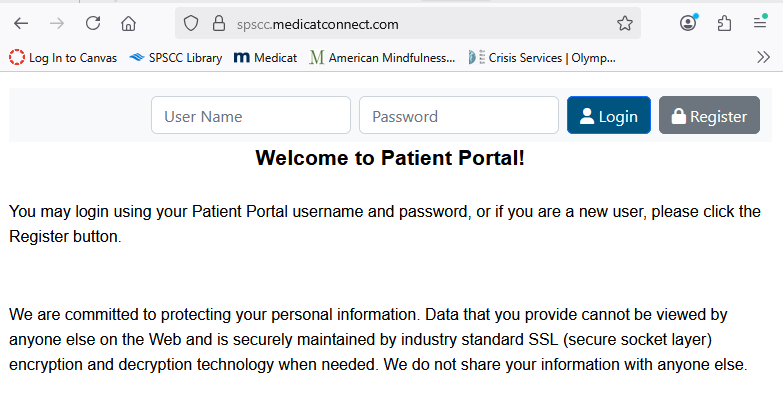 Photo of patient portal login web page