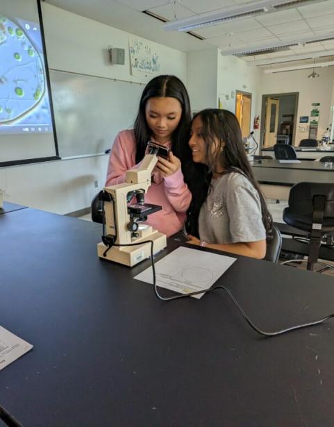 Two middle school students looking into a microscope in a science classroom