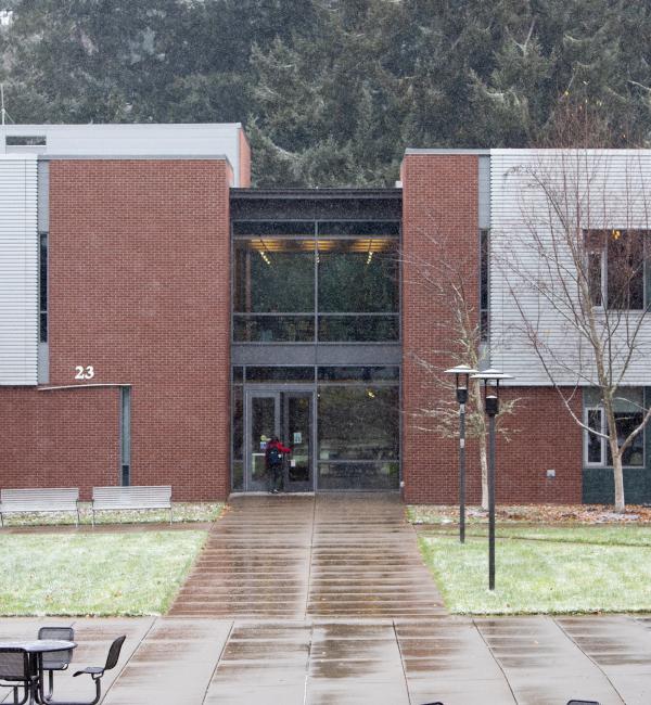 small snow flakes on campus