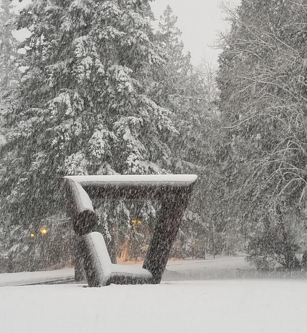 Snow falls on trees and a sculpture