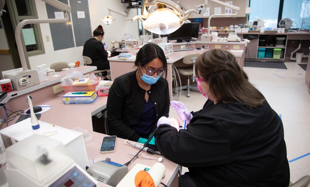 Dental Assisting students in a lab