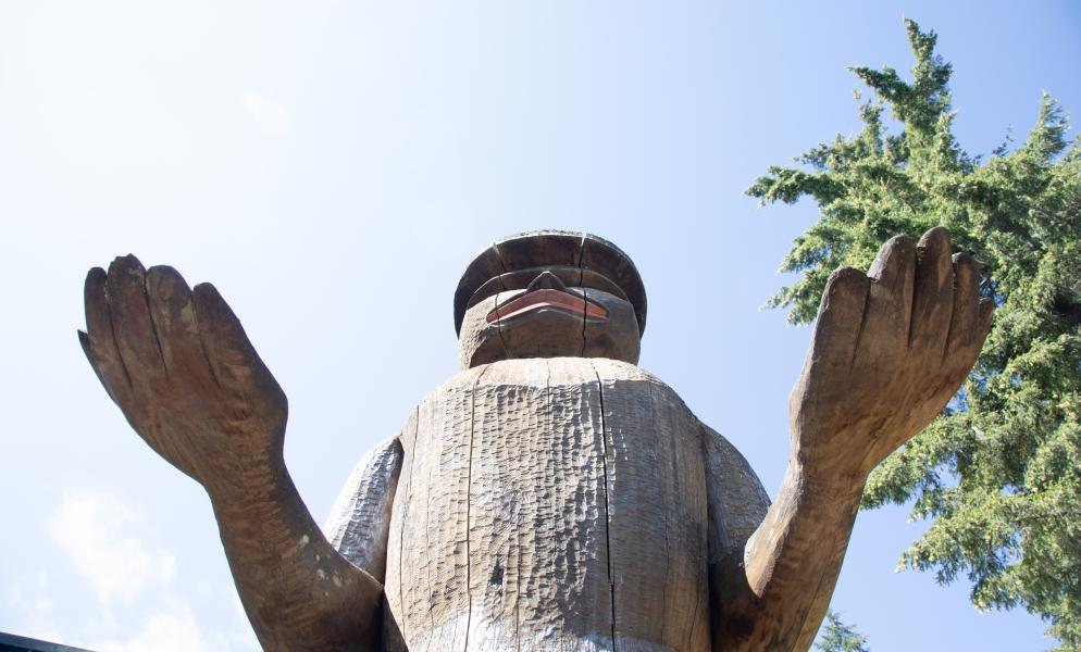The SPSCC Welcome Figure from below