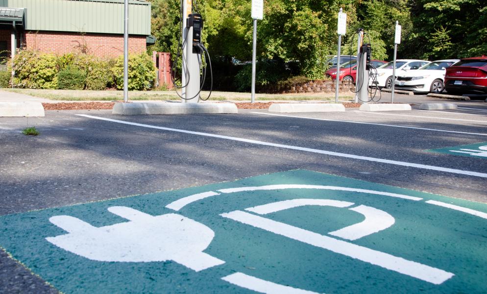 Green paint marks an EV charging station in a parking lot